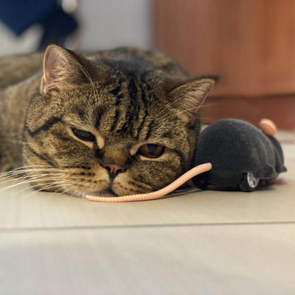 Ratón teledirigido Ratatouille