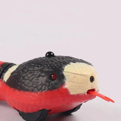 Serpiente 100% Autónoma - Boutique Felini