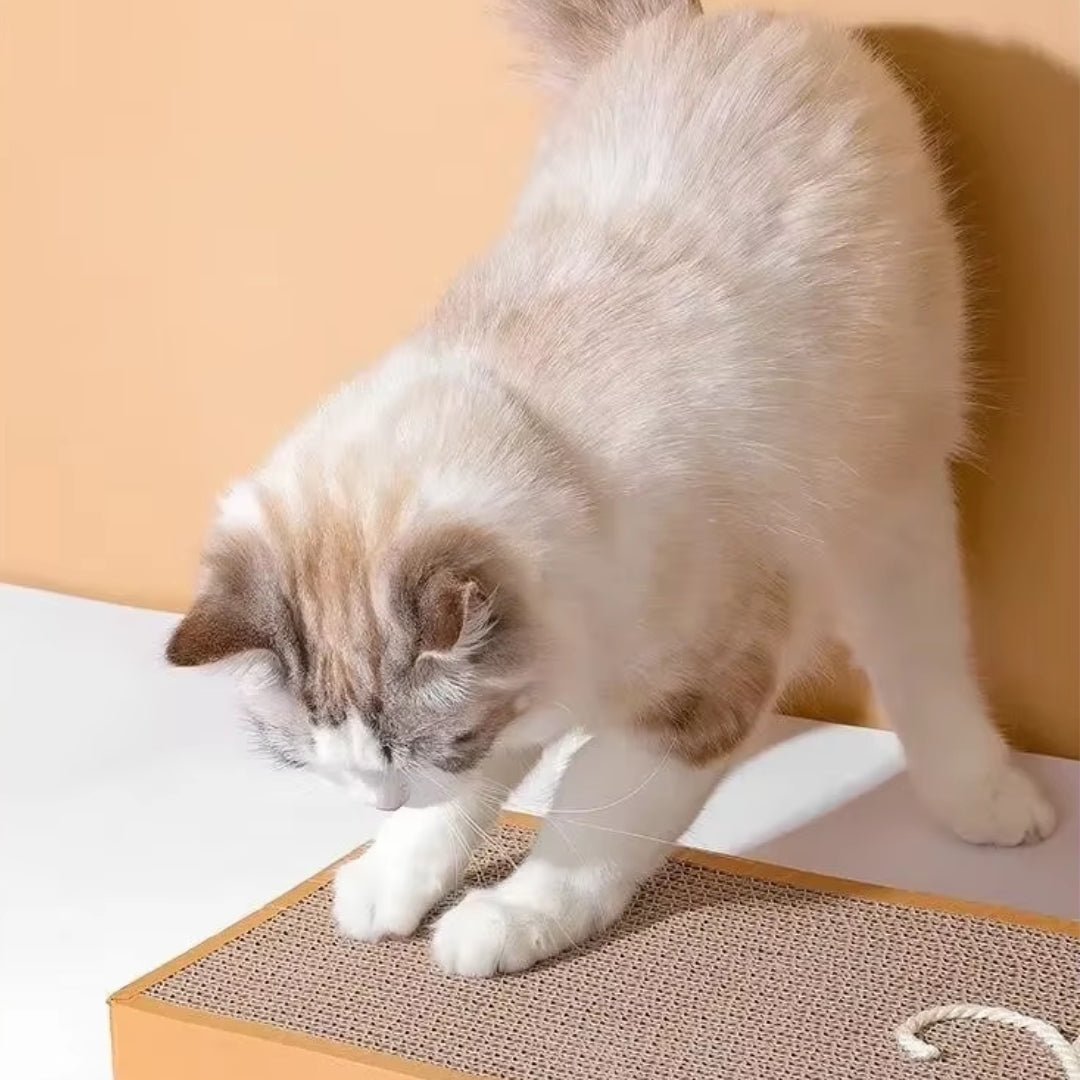 Tabla de rascar RascaMouse de cartón