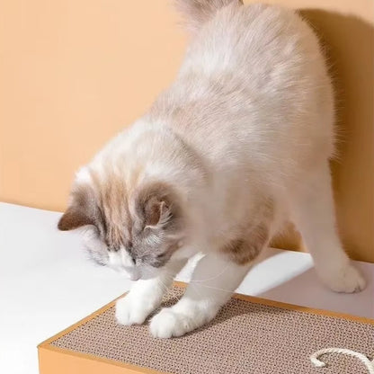 Tabla de rascar RascaMouse de cartón